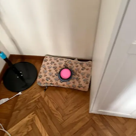 Mole Degli Artisti *