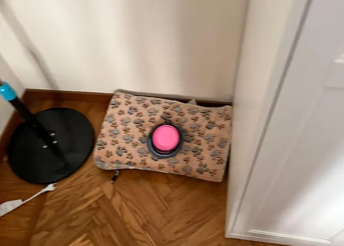 Mole Degli Artisti *